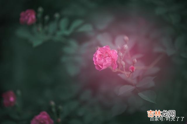 有人说：爱是一切的基础。|人到中年，要学会尊重和包容