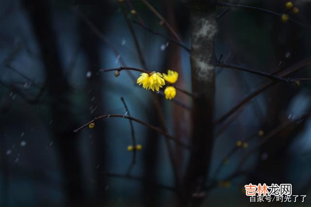 有人说：爱是一切的基础。|人到中年，要学会尊重和包容