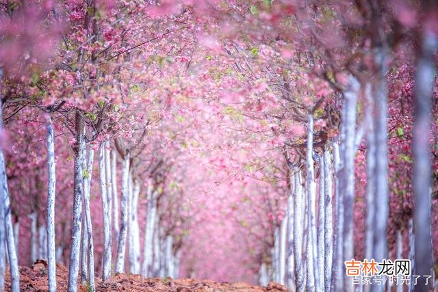 假如我们不曾相遇 假如我们不曾相遇，我希望你能过得幸福和快乐