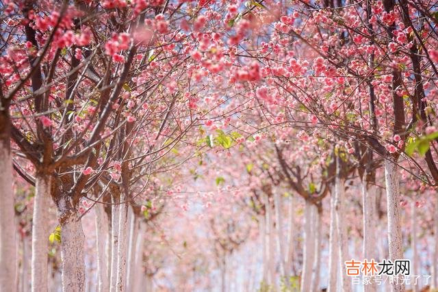 假如我们不曾相遇 假如我们不曾相遇，我希望你能过得幸福和快乐