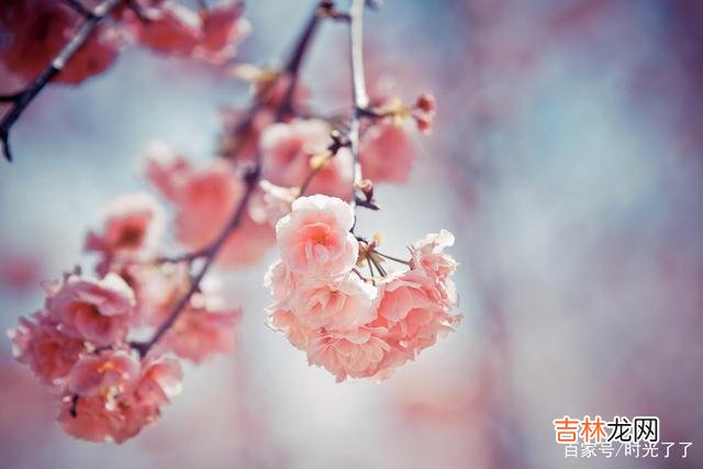 假如我们不曾相遇 假如我们不曾相遇，我希望你能过得幸福和快乐