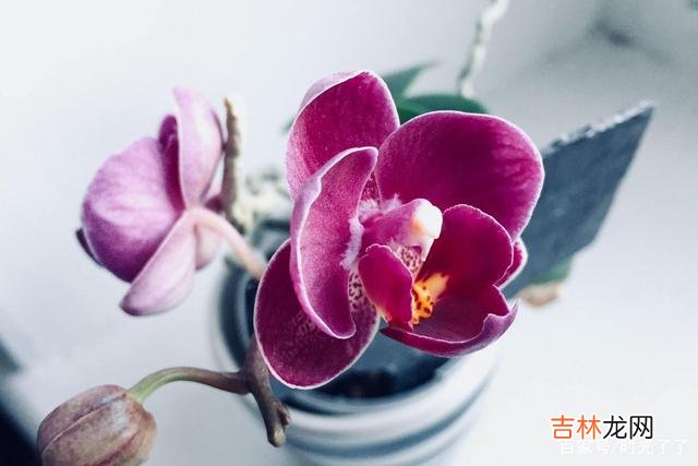 小孩子的世界很美好也很纯粹 越长大，越不能理解别人的心事