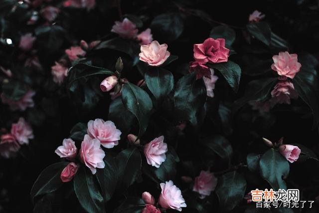小孩子的世界很美好也很纯粹 越长大，越不能理解别人的心事
