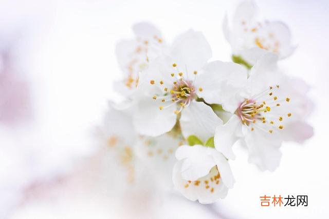 小孩子的世界很美好也很纯粹 越长大，越不能理解别人的心事