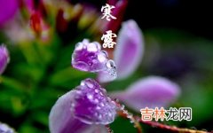 2020庚子鼠年寒露节气酉时出生喜用神是什么命如何？