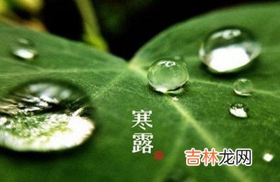 2020年寒露节气戌时出生喜用神是什么命运如何？