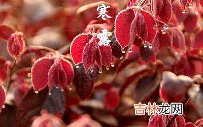 宝宝在2020鼠年寒露节气寅时五行缺什么？出生好不好？