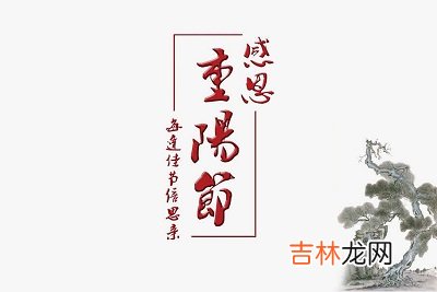 宝宝在2020鼠年重阳节子时出生宝宝命理及喜用神解析出生好不好？