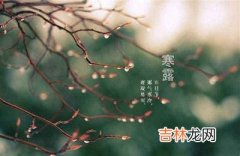 宝宝在2020鼠年寒露节气未时出生宝宝命理及喜用神解析出生是什幺命？