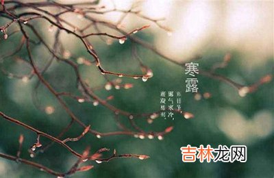 宝宝在2020鼠年寒露节气未时出生宝宝命理及喜用神解析出生是什幺命？