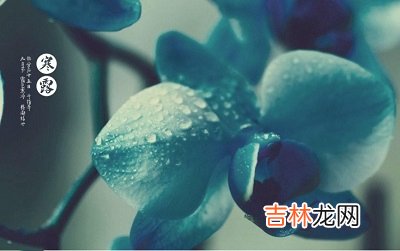 宝宝在2020庚子鼠年寒露节气酉时出生好不好？