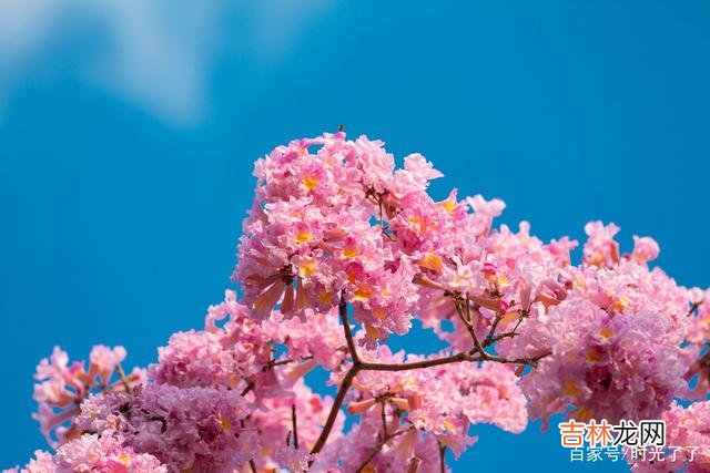 真的 活得漂亮，是真的漂亮，是女人对自己的交代
