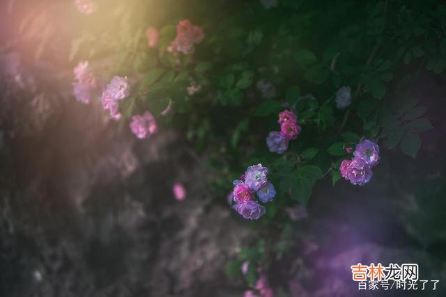 很多人都把面子看得比天还重要 人生是为自己而活，而不是为别人而活