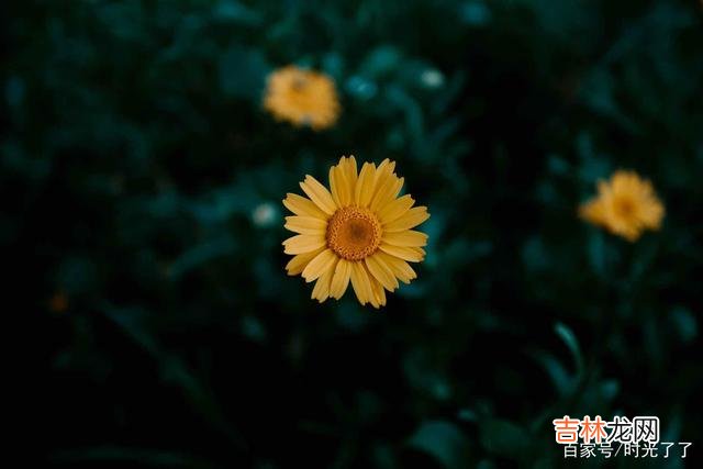 近朱者赤 老不可怕，这是每个人的人生都将要经历的事情