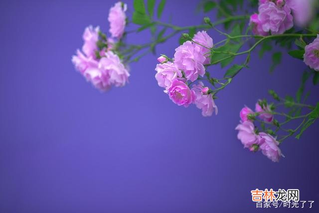近朱者赤 老不可怕，这是每个人的人生都将要经历的事情