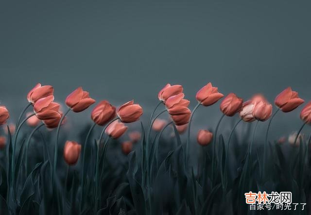 近朱者赤 老不可怕,这是每个人的人生都将要经历的事情