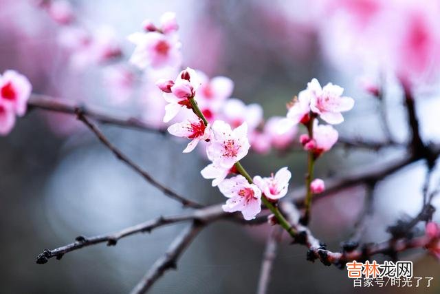 无数的经验都在告诉人们：人和人之间是不同的。|人生一世，过好自己的人生就好