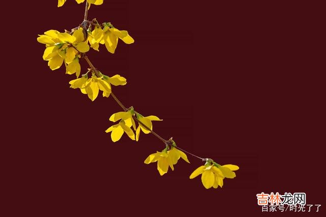 这短暂而又漫长的一生 放下心中的执念，坦然的面对生命中所有的失去