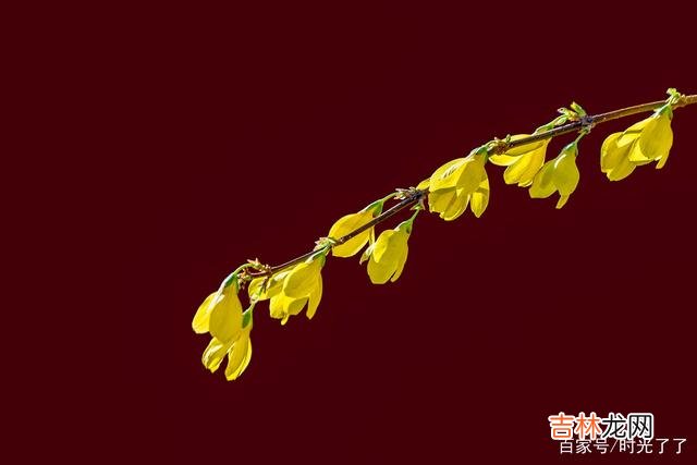 这短暂而又漫长的一生 放下心中的执念，坦然的面对生命中所有的失去