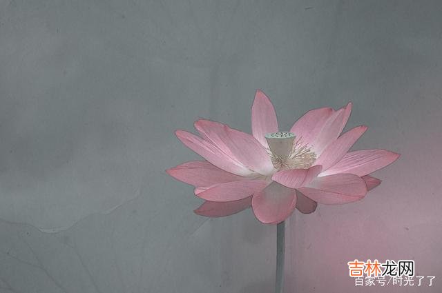 昔日寒山问拾得曰:世间有人谤我、欺我、辱我、笑我、轻我、贱我、恶我、骗我...|一个真正的社交高手,不是时刻都在忍,但在需要忍的时候能忍