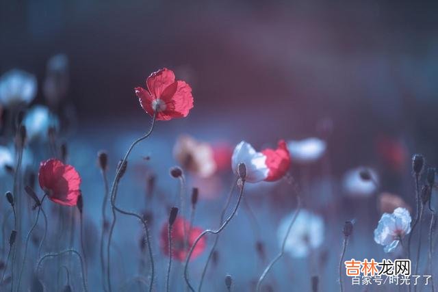 昔日寒山问拾得曰:世间有人谤我、欺我、辱我、笑我、轻我、贱我、恶我、骗我...|一个真正的社交高手,不是时刻都在忍,但在需要忍的时候能忍