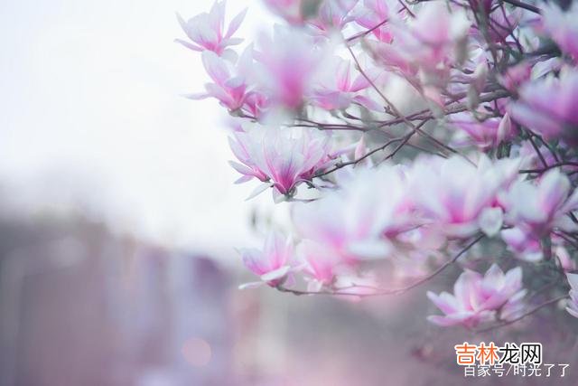 荷西离世之后 人都是要往前走的,沉醉在回忆里不肯醒的人不是傻就是笨