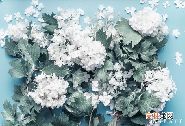 荷西离世之后 人都是要往前走的，沉醉在回忆里不肯醒的人不是傻就是笨