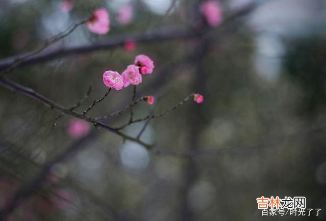 人这一辈子 物质和精神上都得到了满足，才是晚年时最大的快乐和幸福