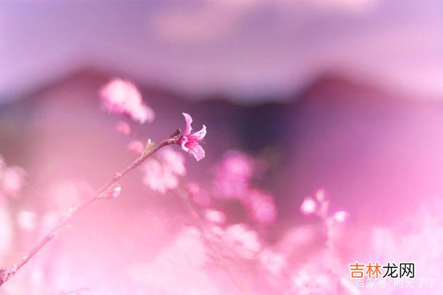 人这一辈子 物质和精神上都得到了满足，才是晚年时最大的快乐和幸福