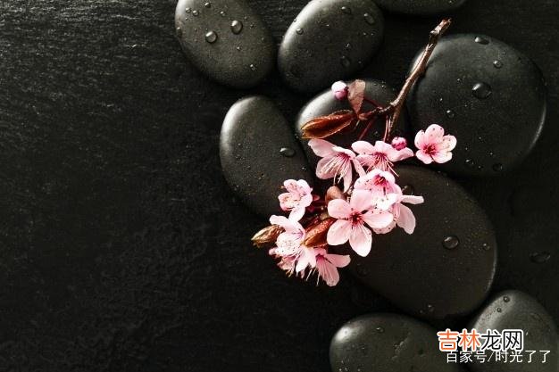 回忆回忆 放下身上无用的负累,才能去拥抱美丽的鲜花