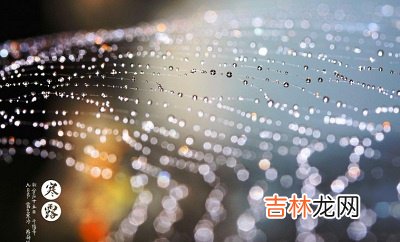 宝宝在2020年10月8日寒露节气亥时喜用神解析命运如何?出生命运如何?