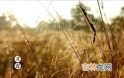 宝宝在2020年10月8日寒露怀孕好吗?预产期是什么时候?出生怎幺样?