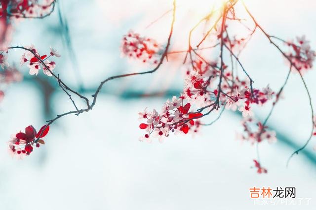 凡事过犹不及 爱情，其实就是一个沼泽地