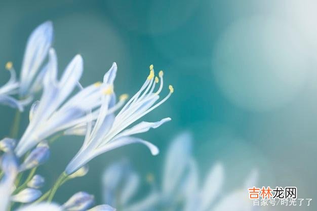 如果在一起是个错误 往后余生，互不打扰，也算是成全彼此更大的幸福