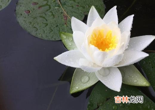 结婚60年，80岁的她穿上了婚纱，这才是婚姻最美好的样子