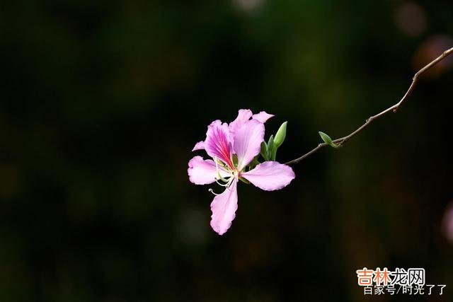 “不到黄河心不死” 无论最后的结局如何，至少都能了无遗憾