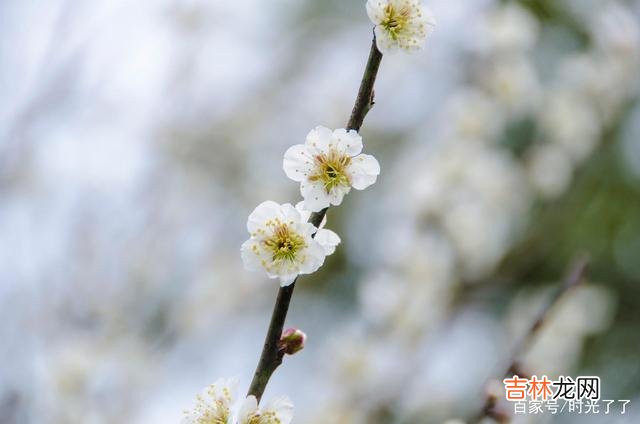 “不到黄河心不死” 无论最后的结局如何，至少都能了无遗憾