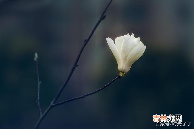 “不到黄河心不死” 无论最后的结局如何，至少都能了无遗憾