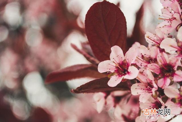 男人的爱与不爱 女人要做的,是果断远离,千万不要靠近,你会变得不幸