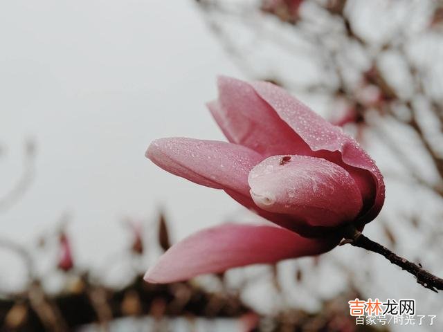 男人的爱与不爱 女人要做的,是果断远离,千万不要靠近,你会变得不幸