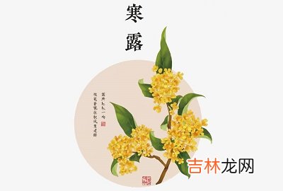 2020年寒露前生娃好吗?寒露出生的人太阳之子吗?