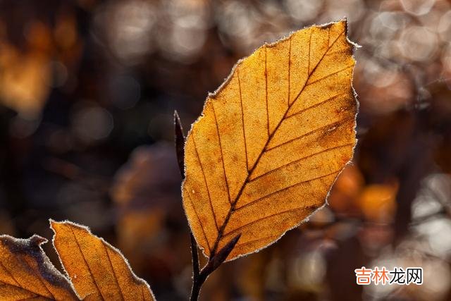 不知道你有没有发现 懂得做狠人的人，中年以后的生活才会更好