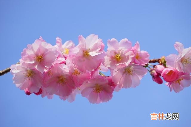 不知道你有没有发现 懂得做狠人的人，中年以后的生活才会更好