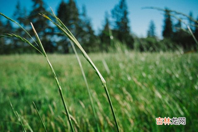 不知道你有没有发现 懂得做狠人的人，中年以后的生活才会更好