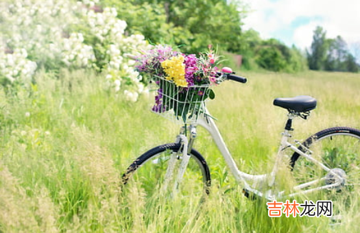 八字好婚姻也幸福吗