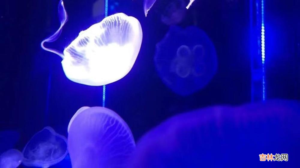 为什么“精致”女人,才更容易被在乎?答案很简单