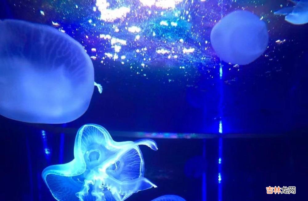 为什么“精致”女人,才更容易被在乎?答案很简单