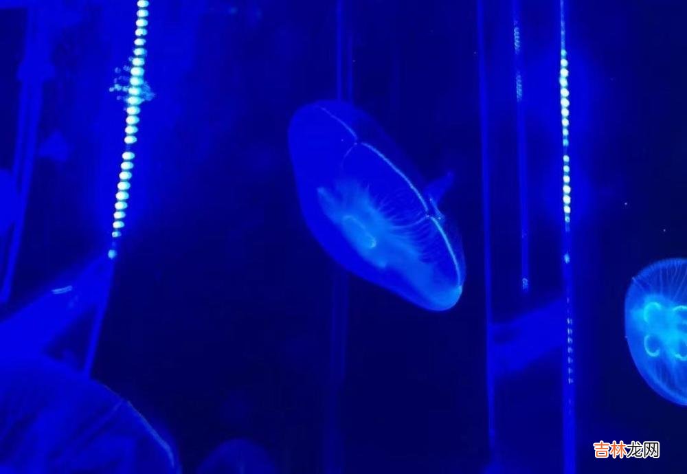 为什么“精致”女人,才更容易被在乎?答案很简单