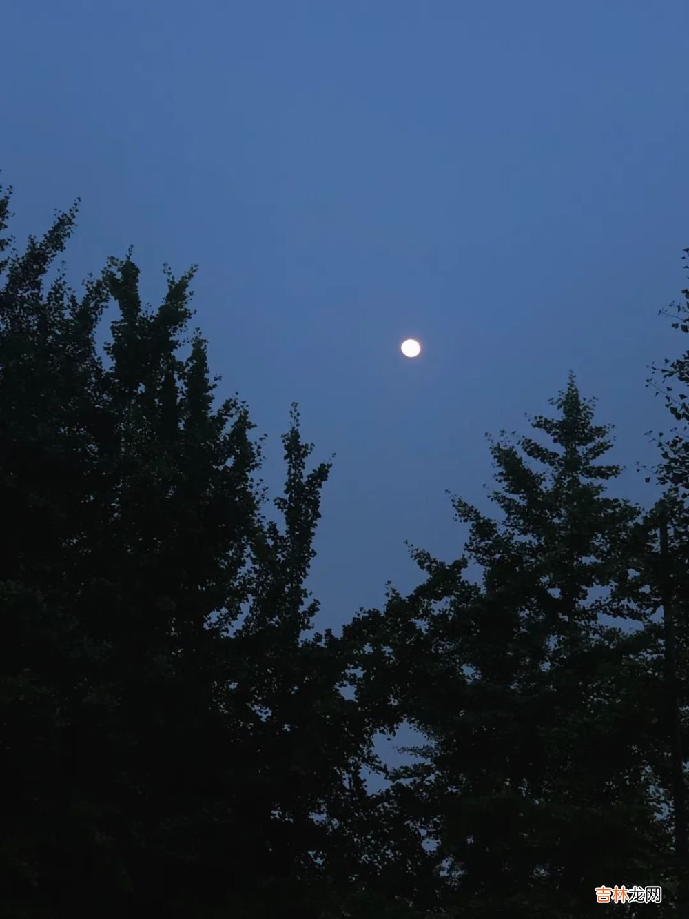 入夜后的四川大学