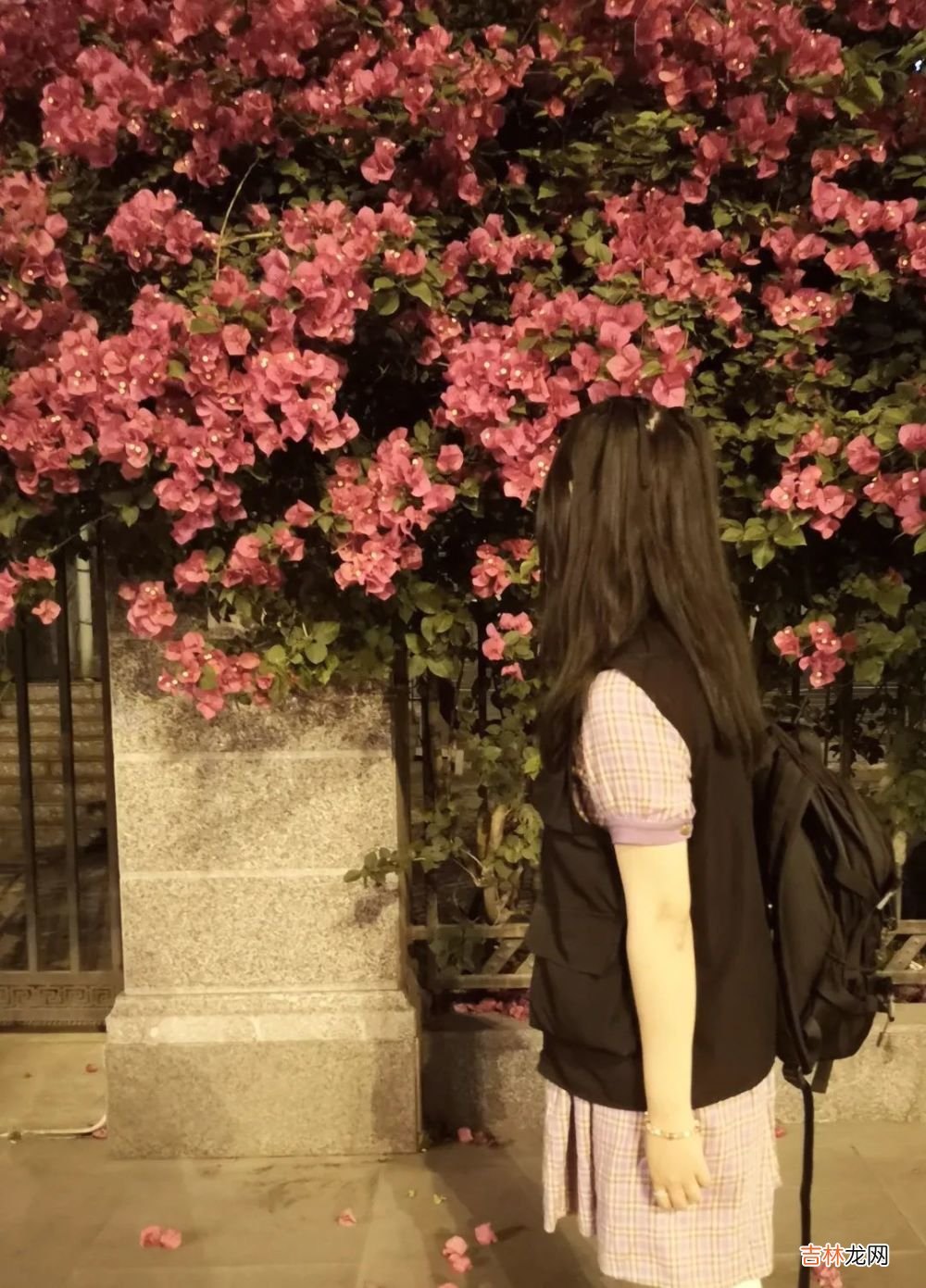 入夜后的四川大学